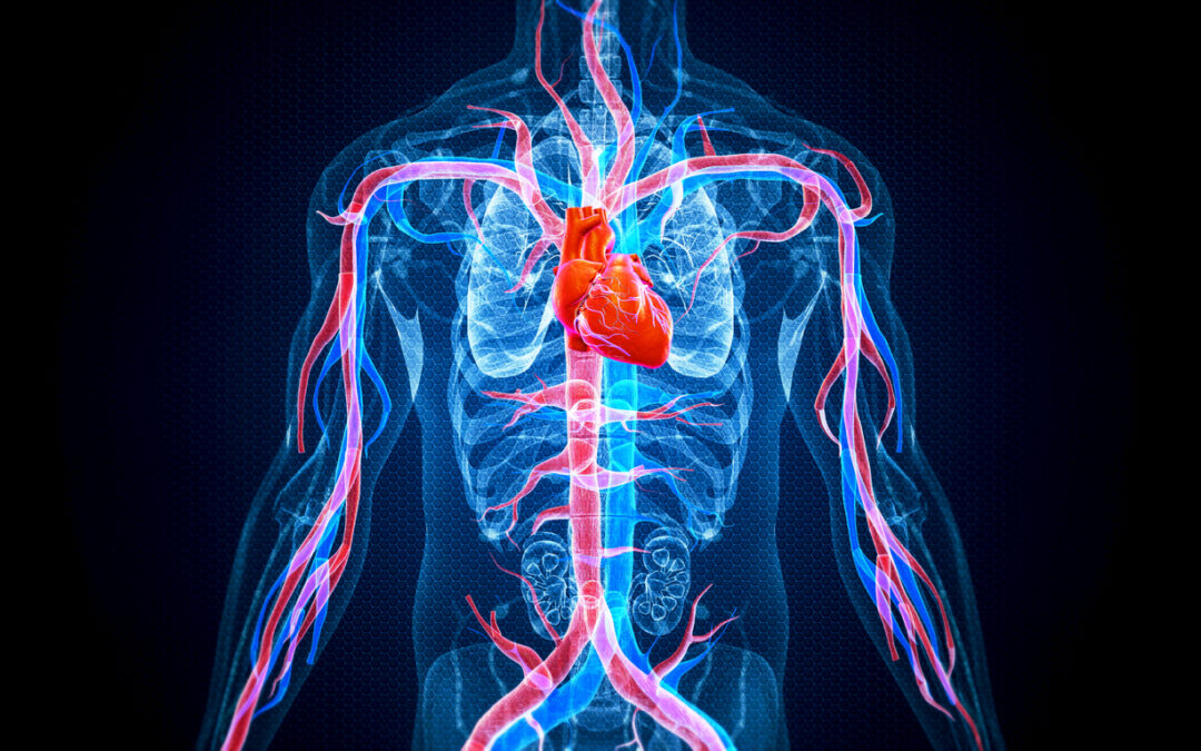 Ovation iX Abdominal Stent Graft Recalled After 5 Deaths