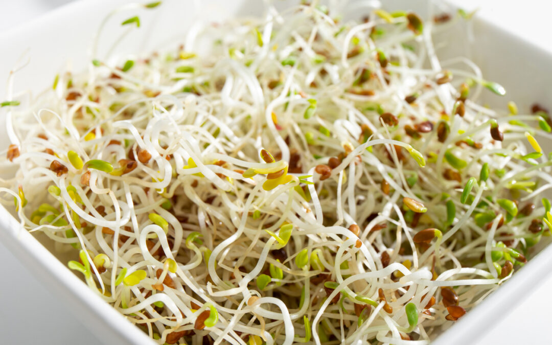 Alfalfa Sprouts E. Coli Lawsuit