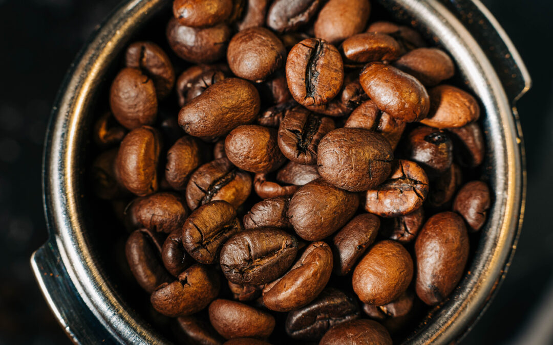 NESCO Coffee Bean Roaster Lawsuit