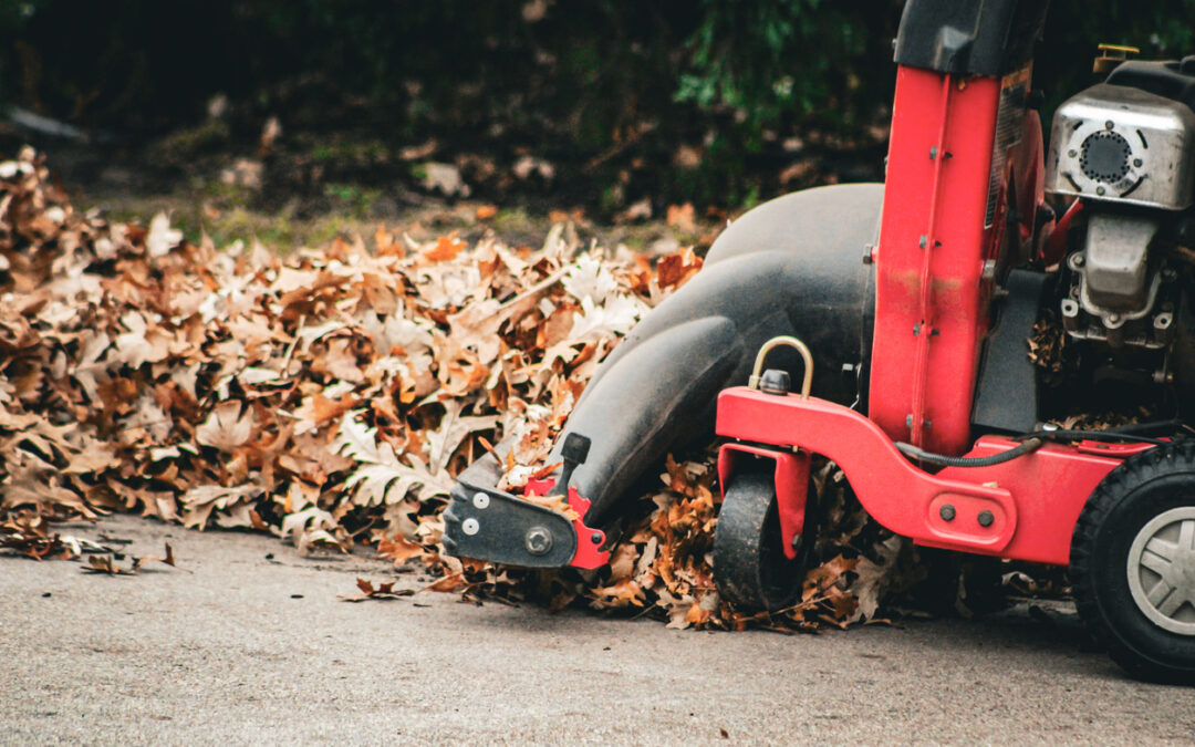 DR Leaf Vacuum Lawsuit