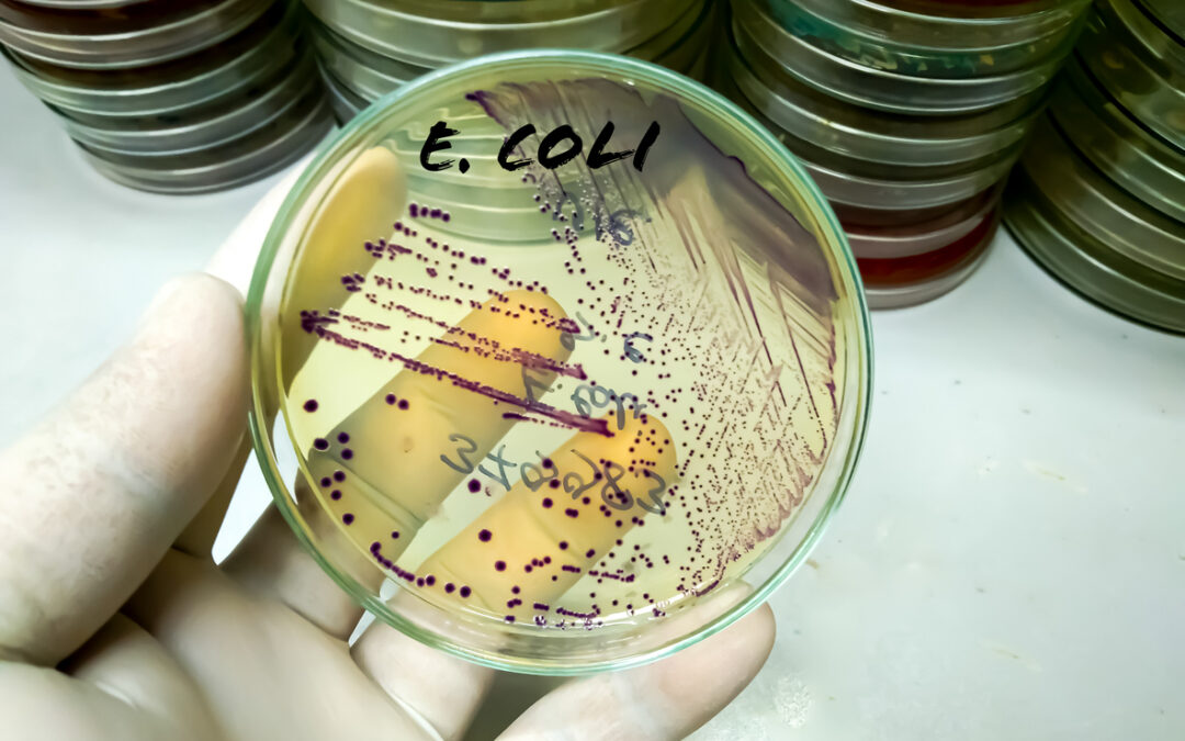 Power Greens E. coli Lawsuit