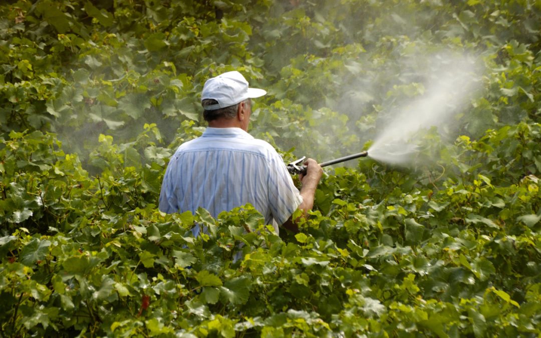 Roundup Added to California’s Cancer-Causing Chemical List