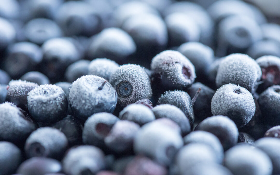 GreenWise Frozen Blueberries Lawsuit