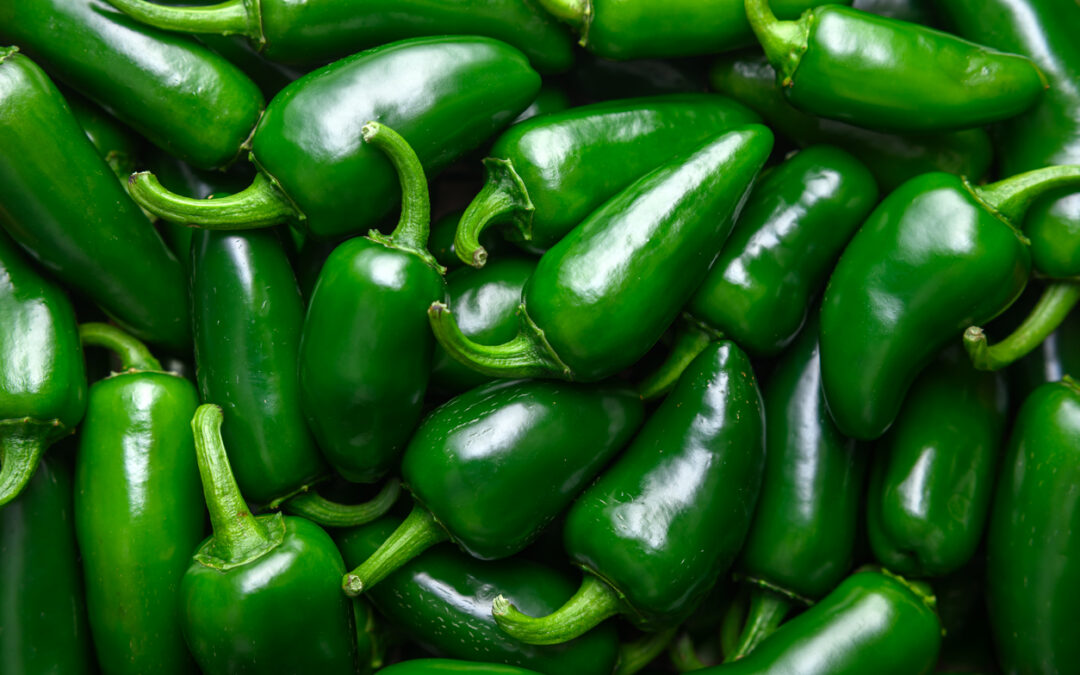 Jalapeño Pepper Salmonella Lawsuit