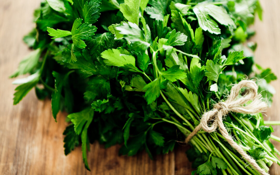 Organic Parsley and Herbes de Provence Recalled for Salmonella Risk