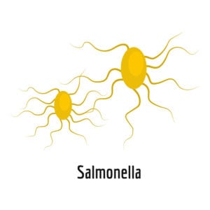 Pasha Salmonella Food Poisoning