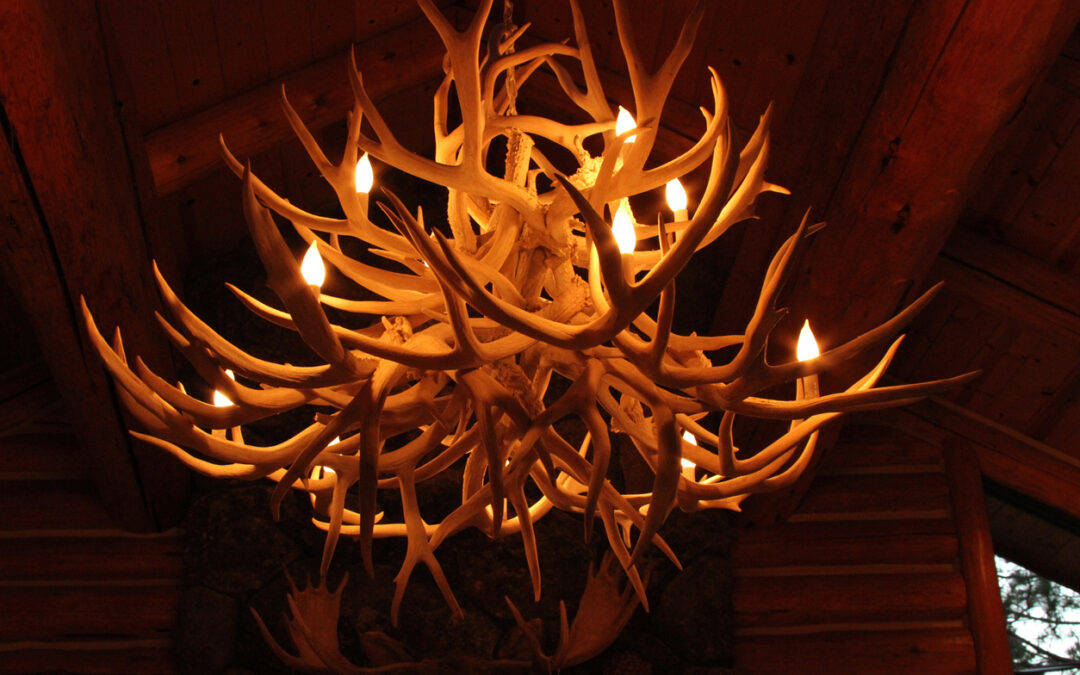 RH Antler Chandelier Lawsuit