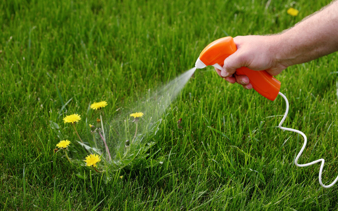 Monsanto Banned from European Parliament