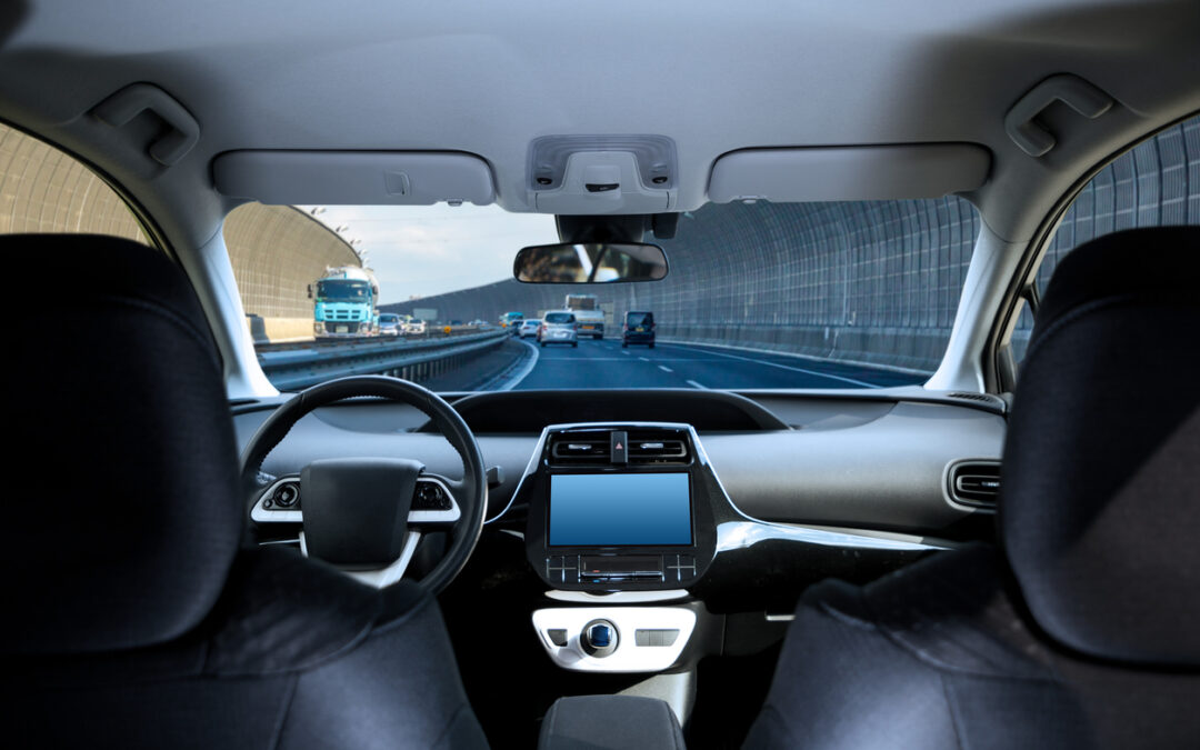 Tesla Robotaxi Lawsuit
