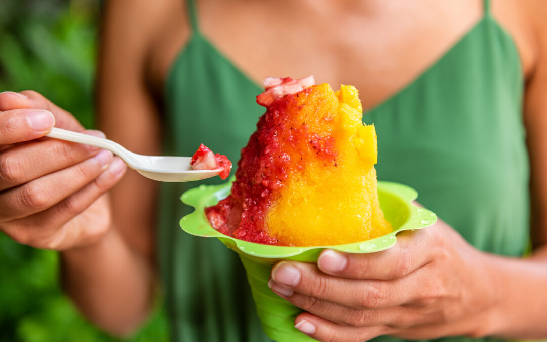 VEVOR Ice Shaving Machine Lawsuit