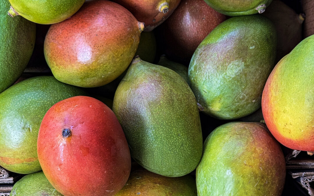 Walmart Mango Salmonella Lawsuit