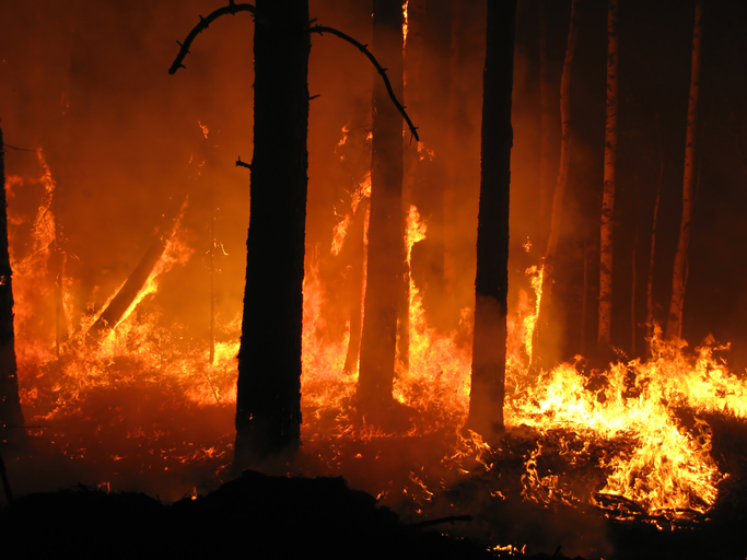 PG&E Agrees on $1B Settlement with FEMA for Wildfire Money