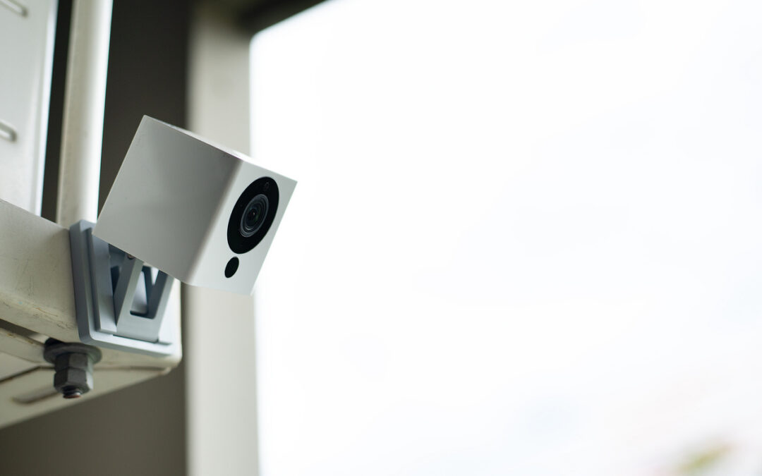 Wyze Solar Cam Pan Lawsuit