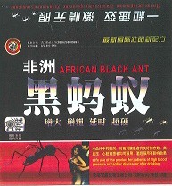 African Black Ant and Mojo Risen Recalled