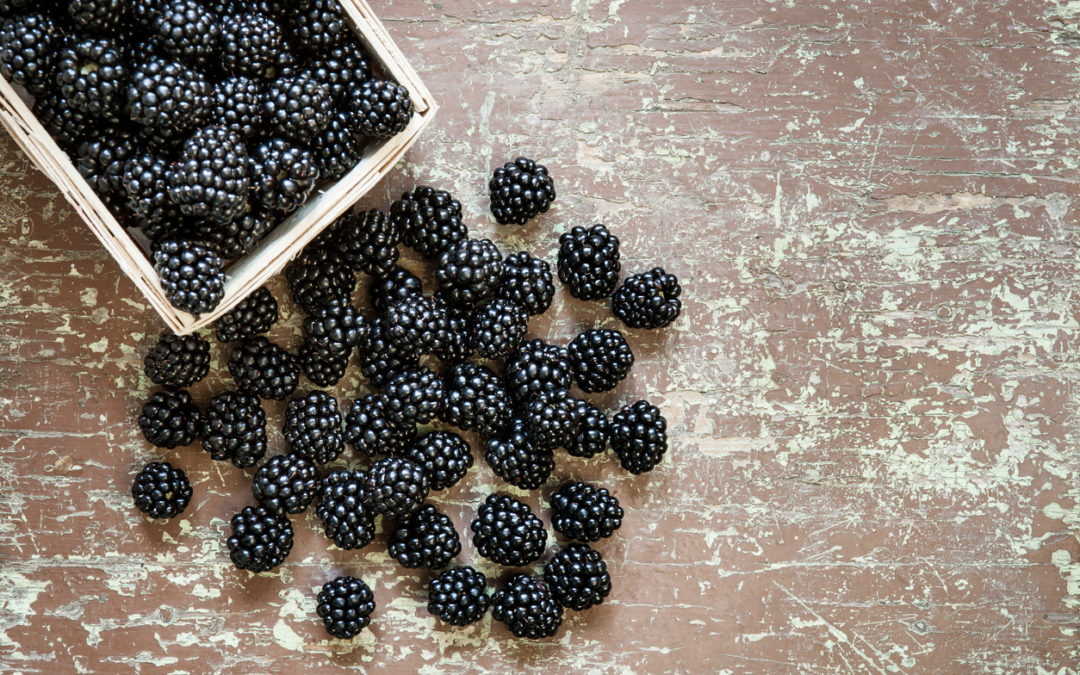 Fresh Blackberries Linked to Hepatitis A Outbreak in Midwest
