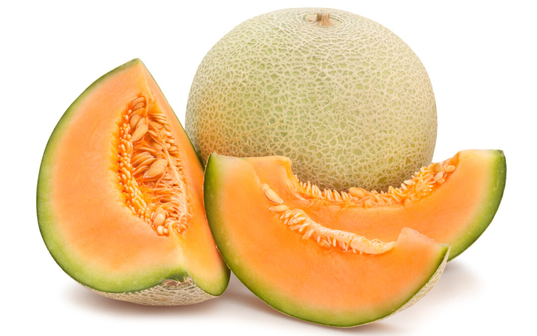 Cantaloupe Salmonella Lawsuit