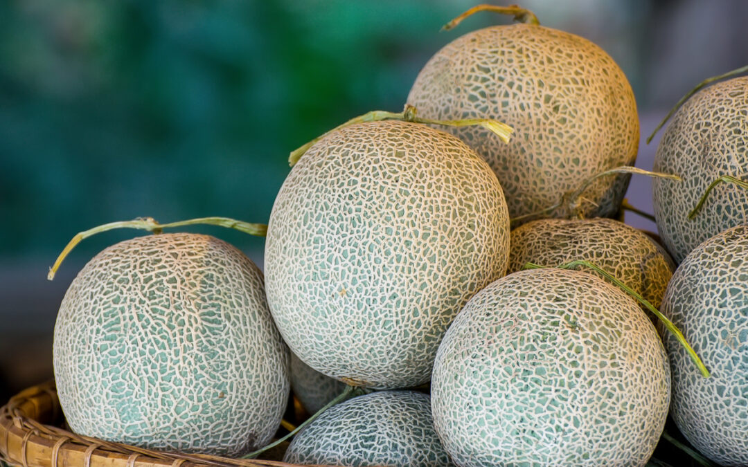 Meijer Cantaloupe Recall Lawsuit