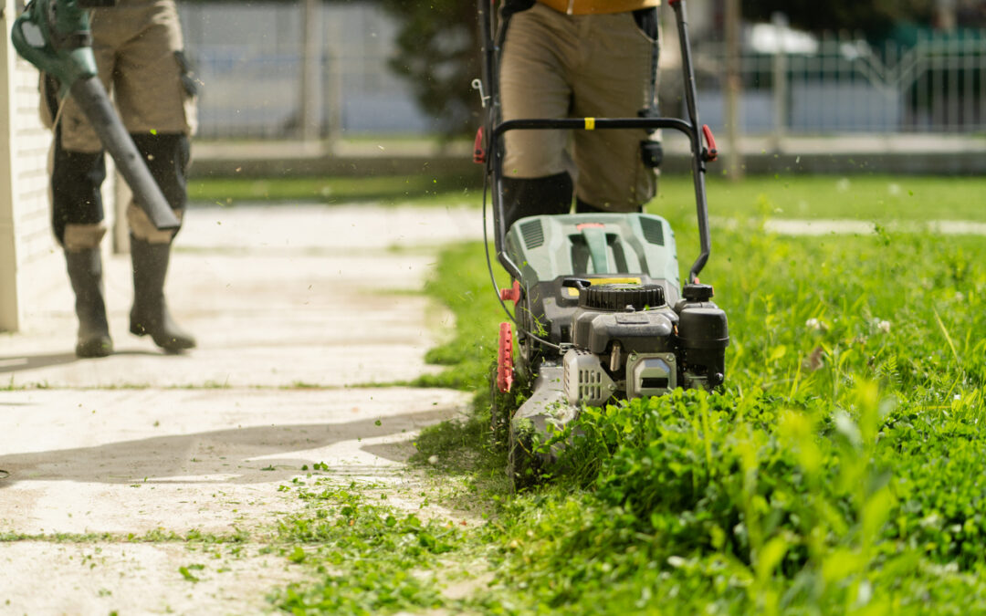 DR Trimmer Mower Lawsuit