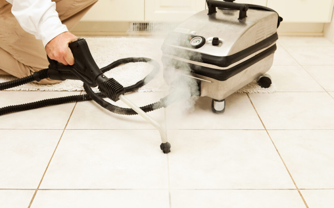 Dupray Steam Cleaner Lawsuit