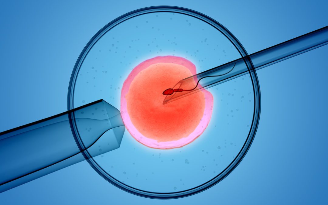 Jury Awards $15 Million in 1st-Ever Fertility Clinic Lawsuit