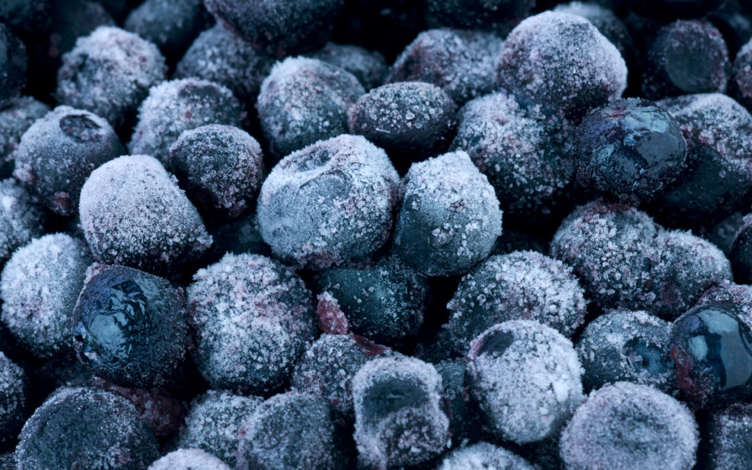Frozen Blueberries Recalled in Oregon for Listeria Risk