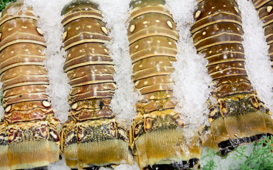Greenhead Lobster Listeria Lawsuit