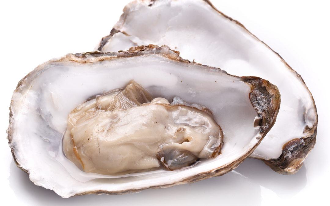 FDA Warning: Raw Oysters Linked to Food Poisoning Outbreak