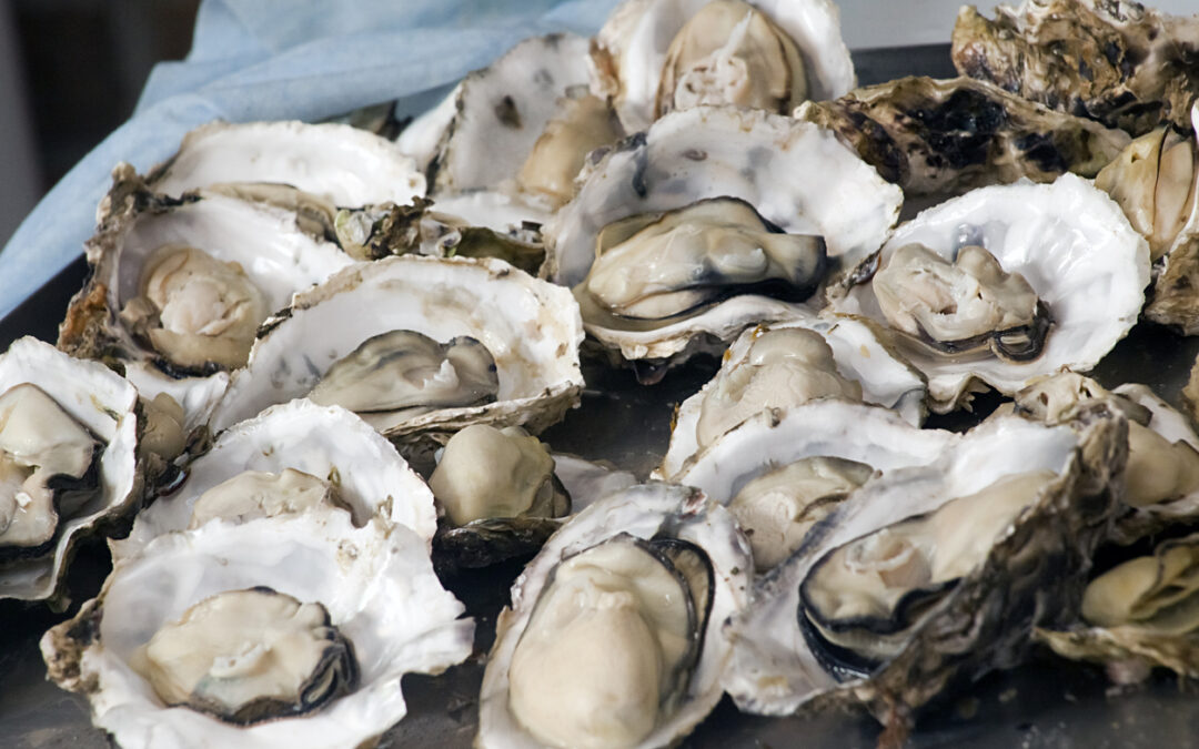 Salmonella Outbreak in 3 States Linked to Raw Oysters