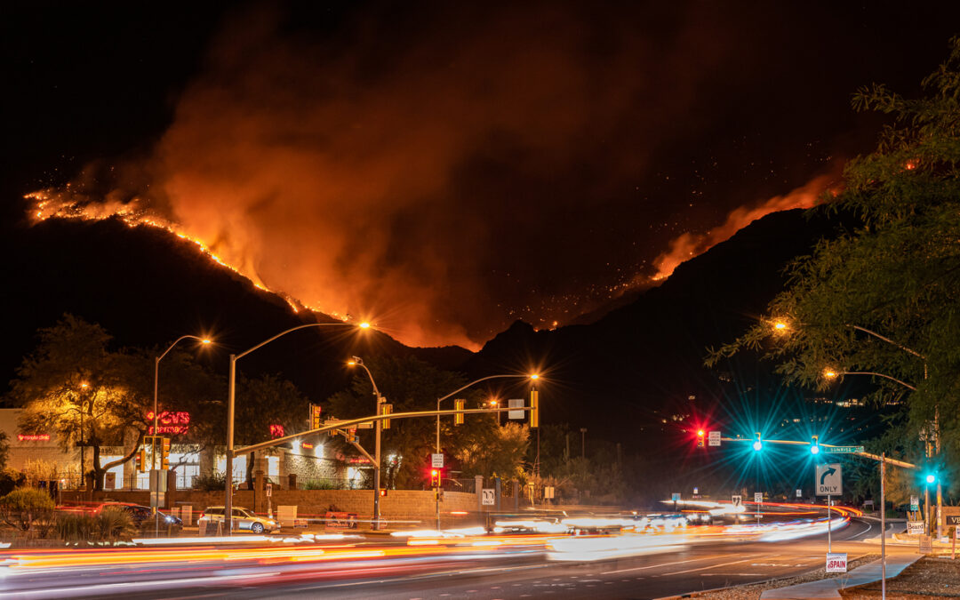 Palisades Fire Lawsuit
