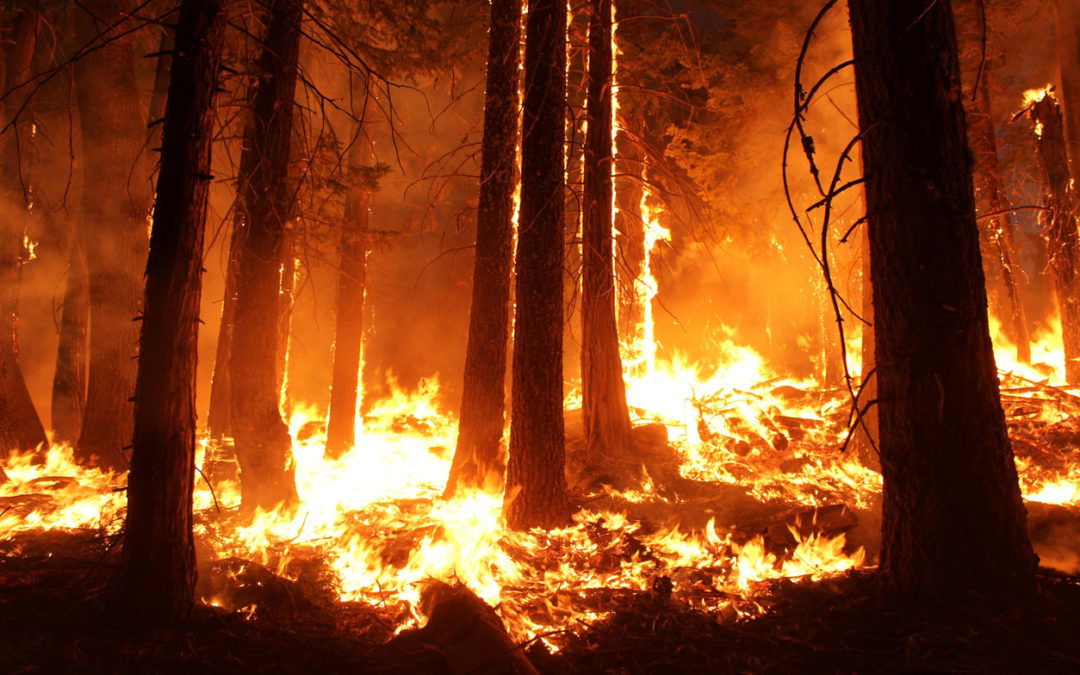 PG&E Agrees on $1B Settlement with FEMA for Wildfire Money
