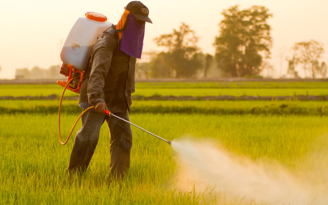 $2 Billion Awarded to Roundup Cancer Victims in 3rd Trial