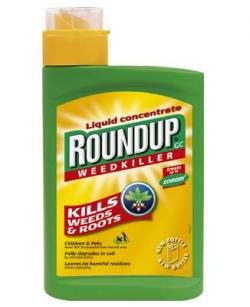 Roundup Mantle Cell Lymphoma