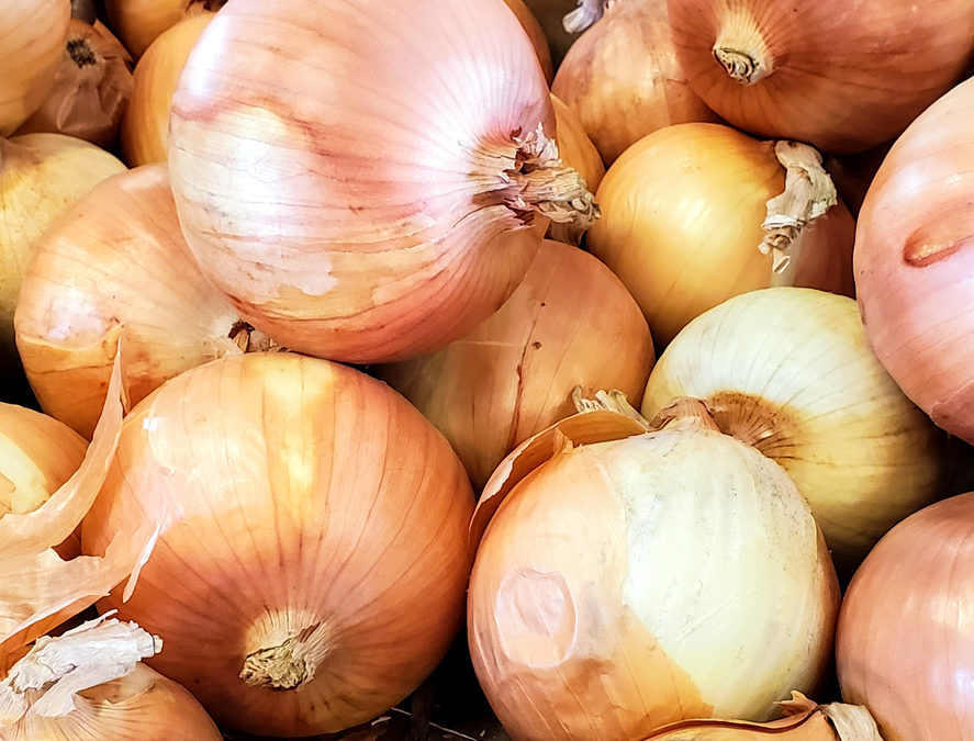 Wegmans Recalls Vidalia Onions for Listeria Risk